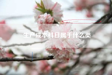 详细阅读:生产成本科目属于什么类 生产成本科目属于什么类