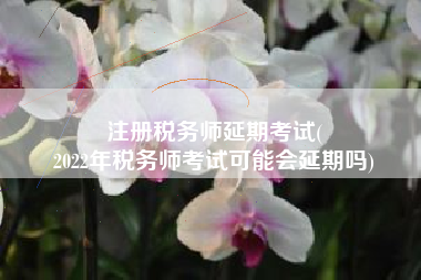 注册税务师延期考试(
2022年税务师考试可能会延期吗)
