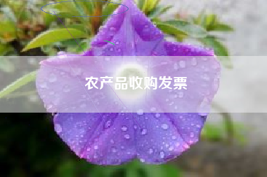 详细阅读:农产品收购发票 农产品收购发票