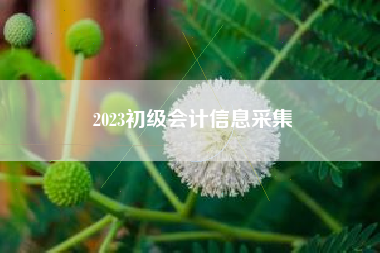 详细阅读:2023初级会计信息采集 2023初级会计信息采集