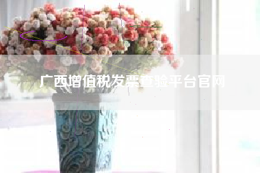 广西增值税发票查验平台官网