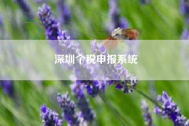 详细阅读:深圳个税申报系统 深圳个税申报系统