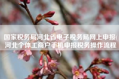 国家税务局河北省电子税务局网上申报(河北个体工商户手机申报税务操作流程
)
