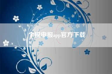 个税申报app官方下载