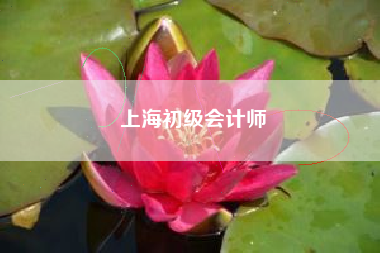 上海初级会计师