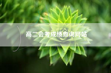 高二会考成绩查询网站
