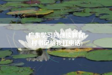 广东学习网继续教育(
村书记给我打电话)