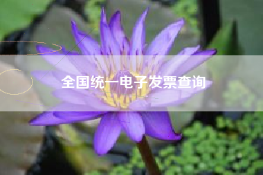 全国统一电子发票查询