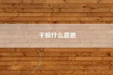 干股什么意思