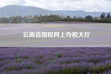 云南省国税网上办税大厅