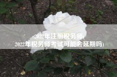 2022年注册税务师(
2022年税务师考试可能会延期吗)