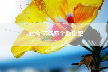 2022年劳务费个税税率