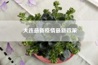大连最新疫情最新政策