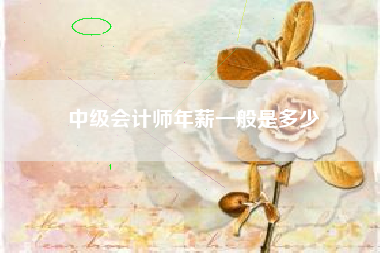 中级会计师年薪一般是多少