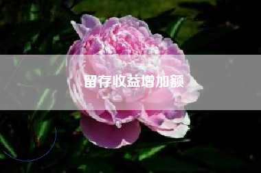 留存收益增加额