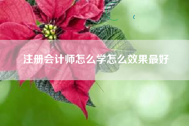 注册会计师怎么学怎么效果最好