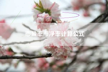 市盈率市净率计算公式