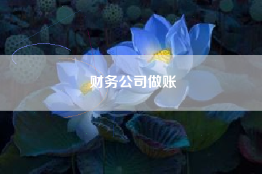 财务公司做账