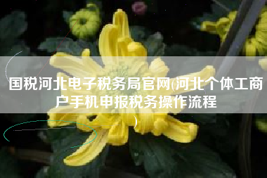 国税河北电子税务局官网(河北个体工商户手机申报税务操作流程
)