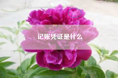 记账凭证是什么