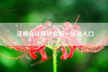 注册会计师协会统一报名入口