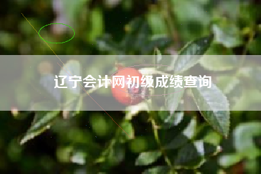 辽宁会计网初级成绩查询