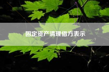 固定资产清理借方表示