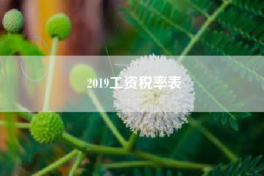 2019工资税率表