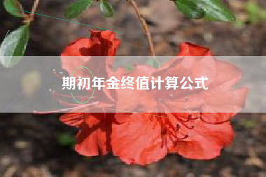 期初年金终值计算公式