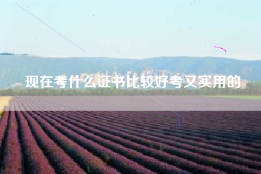 详细阅读:现在考什么证书比较好考又实用的 现在考什么证书比较好考又实用的