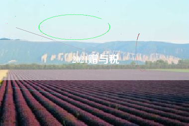 详细阅读:2021赠与税 2021赠与税