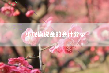 小规模税金的会计分录