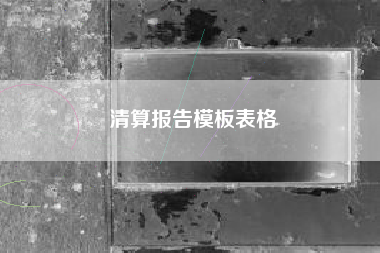 清算报告模板表格