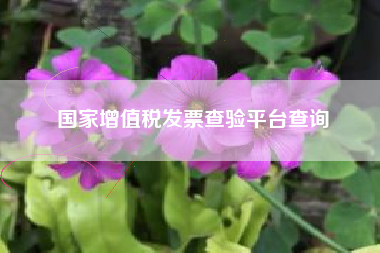 详细阅读:国家增值税发票查验平台查询 国家增值税发票查验平台查询