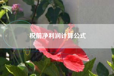 税前净利润计算公式