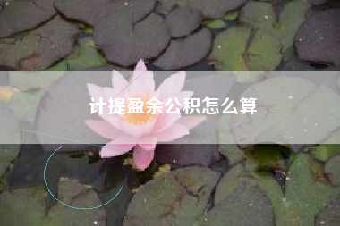 计提盈余公积怎么算