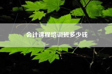 会计课程培训班多少钱