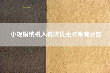 详细阅读:小规模纳税人税收优惠政策有哪些 小规模纳税人税收优惠政策有哪些