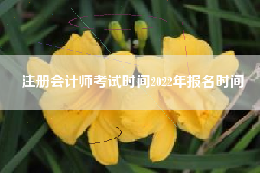 详细阅读:注册会计师考试时间2022年报名时间 注册会计师考试时间2022年报名时间
