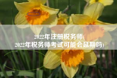 2022年注册税务师(
2022年税务师考试可能会延期吗)
