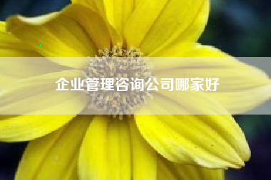 企业管理咨询公司哪家好