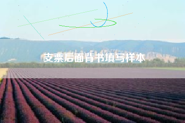 支票后面背书填写样本