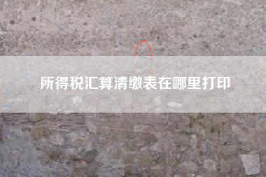 所得税汇算清缴表在哪里打印