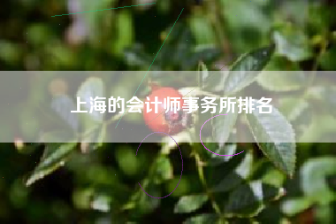上海的会计师事务所排名