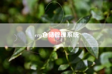 erp仓储管理系统
