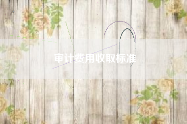 详细阅读:审计费用收取标准 审计费用收取标准