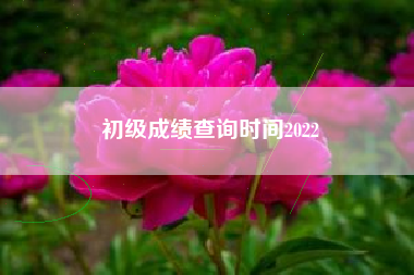详细阅读:初级成绩查询时间2022 初级成绩查询时间2022