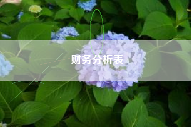 财务分析表