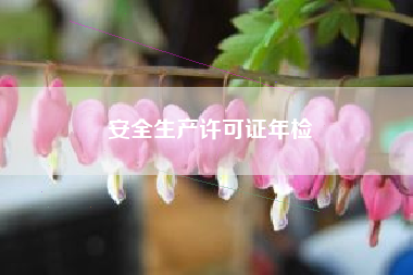 详细阅读:安全生产许可证年检 安全生产许可证年检