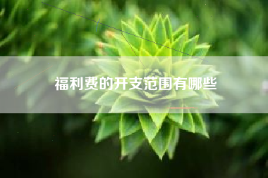 福利费的开支范围有哪些